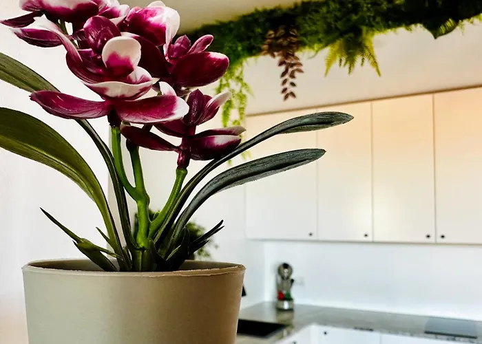 Garden Of Eden Modern - Apartello,com * Sveti Vlas